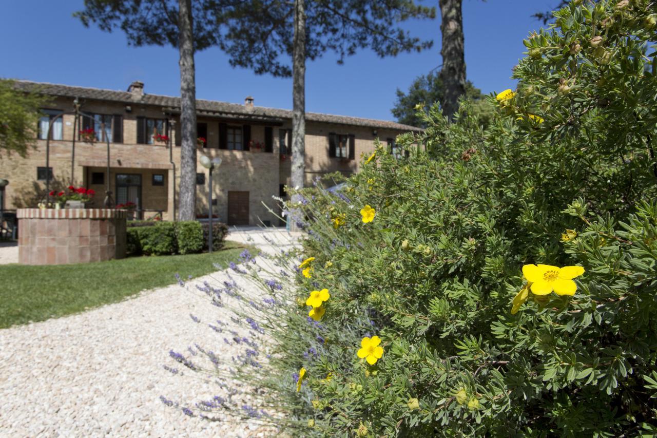 Casale San Galgano Apart otel Chiusdino Dış mekan fotoğraf